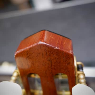 Christelle Caillot Petite Bouche Gypsy Jazz #46 2016 - Natural image 21