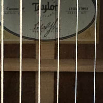 Taylor TF Custom Shop image 4