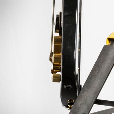 Epiphone Rex Brown Thunderbird Bass, Ebony | Demo image 7