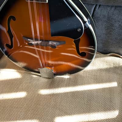 Eleca EMA-1 Mandolin...w/ New Gig Bag and Accessories image 7