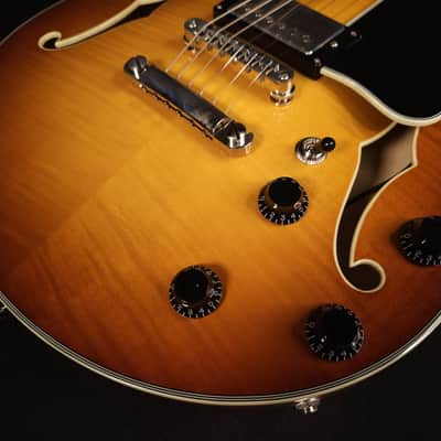 Eastman T484 Gold Burst Finish Flame Maple Thinline Guitar, Hard Case image 7