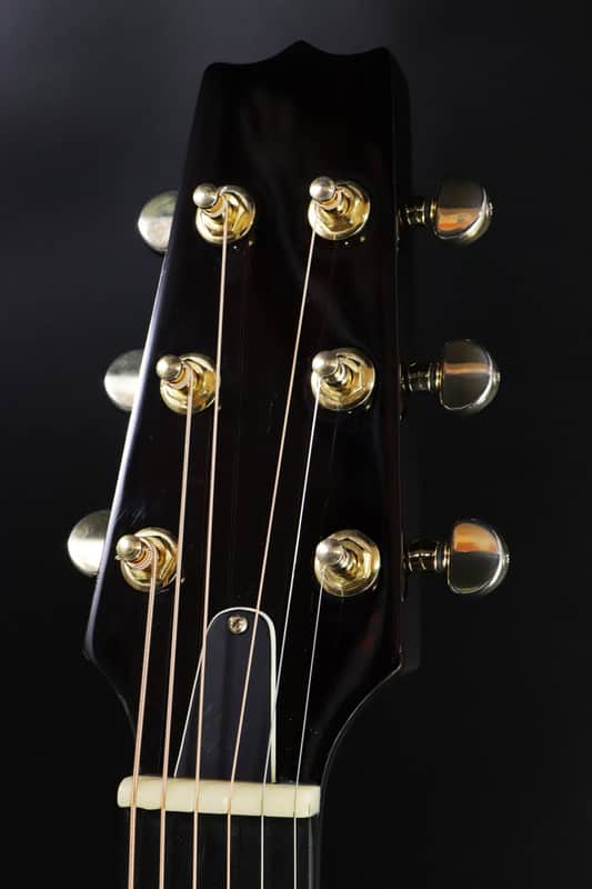 Aria NXP-03 - Free Shipping* | Reverb
