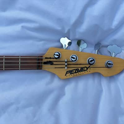 Peavey Foundation 1993 - Black image 5