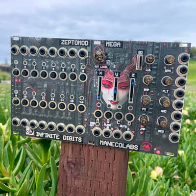 Infinite Digits x Maneco Labs ZEPTOMOD MEGA eurorack (BPNYC) image 5