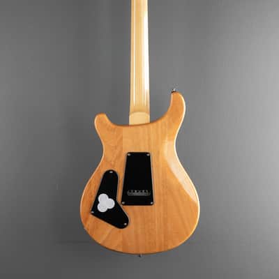 Paul Reed Smith SE Custom 24, '25 image 5