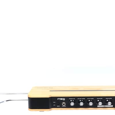 MOOG Etherwave Theremin Synthesizer Ash Wood - Model 2022 like Etherwave PLUS // NEU + OVP + GARANTIE✅ image 9