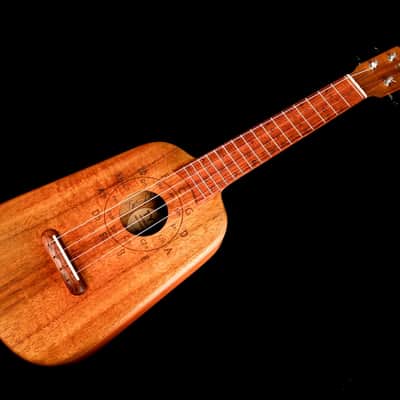 Tyde "Learner" Concert Ukulele image 1