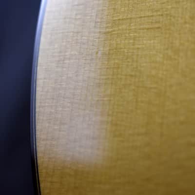 2007 Martin D-111 Ditson image 16