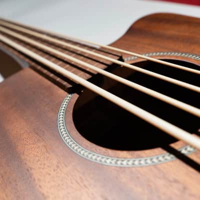 Gold Tone M-Bass23/FL Acoustic-Electric Fretless Bass Guitar image 4