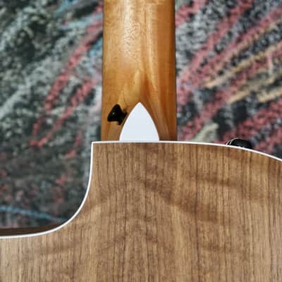 Taylor 200 Series 214ce-N Walnut/Spruce image 9