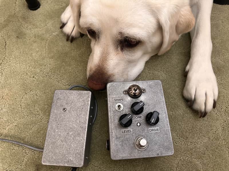 Shaw Amplification Handwired Tube Overdrive Pedal (One of a kind) image 1