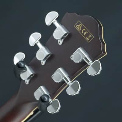 Ibanez [USED] AEG12II NMH image 8