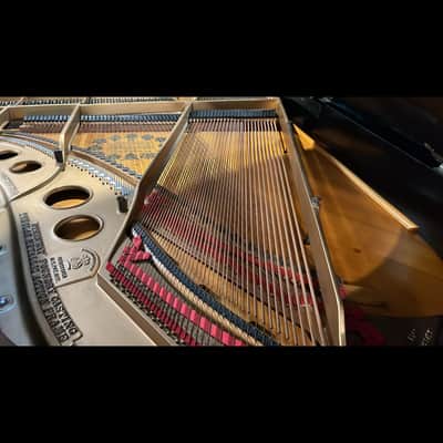 Steinway & Sons model O 5’11” Grand Piano image 7