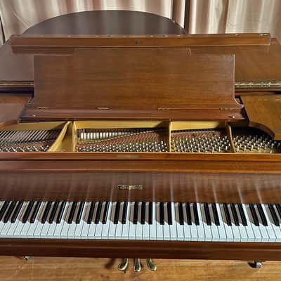 Steinway & Sons M 1927 - Mahogany Satin 256922 image 12