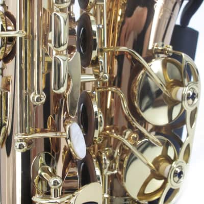 Yanagisawa A-WO20 Alto Saxophone - Bronze image 5