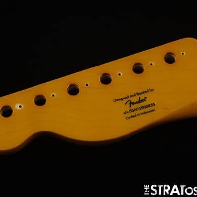 Fender Squier Classic Vibe 50s Telecaster NECK Tele Tinted Guitar *MN Maple image 6