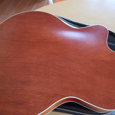 Godin 5th Avenue Uptown Custom - Havana Burst kg 2,75 image 9