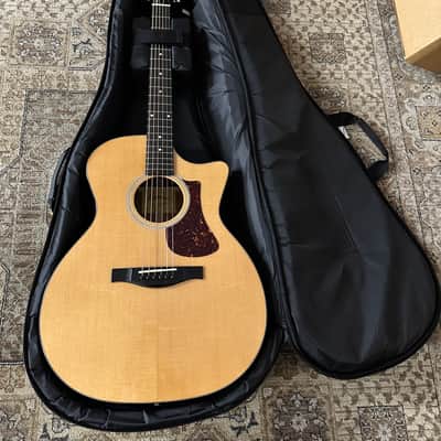 Eastman AC122-1CE-DLX Grand Auditorium Acoustic-Electric w/ Gig Bag & Free Pro Setup image 20