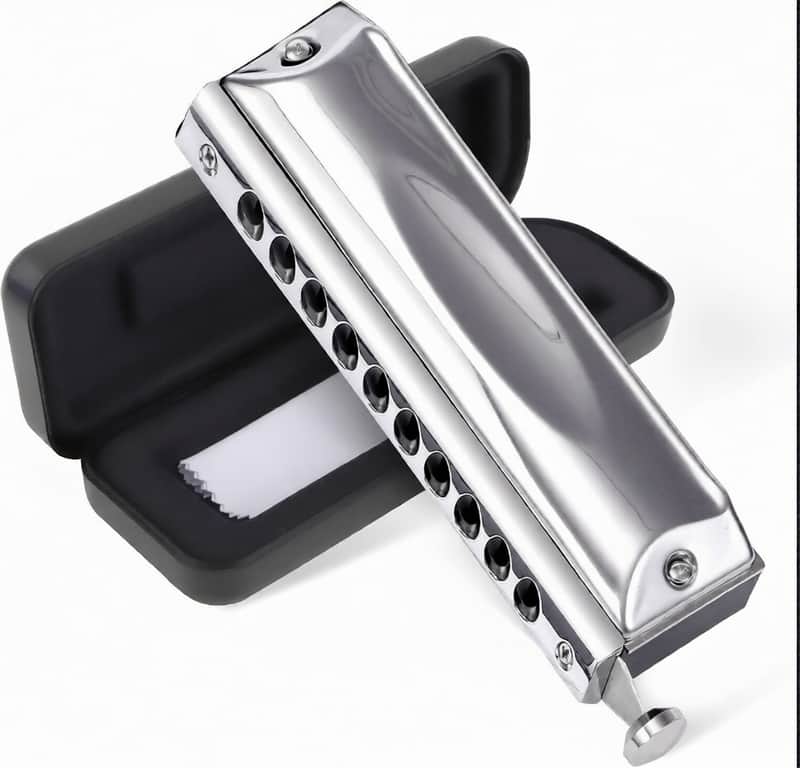 Chromatic Harmonica Valveless for Adult Beginners 10 Hole Harmonica Key of C Stainless Steel Mouth Organ with Brass Reed in Case, C Key Sliver | Brass Reeds Mouth Organ, Protective Storage Case image 1
