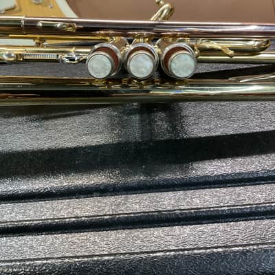 Stagg Trumpet image 4