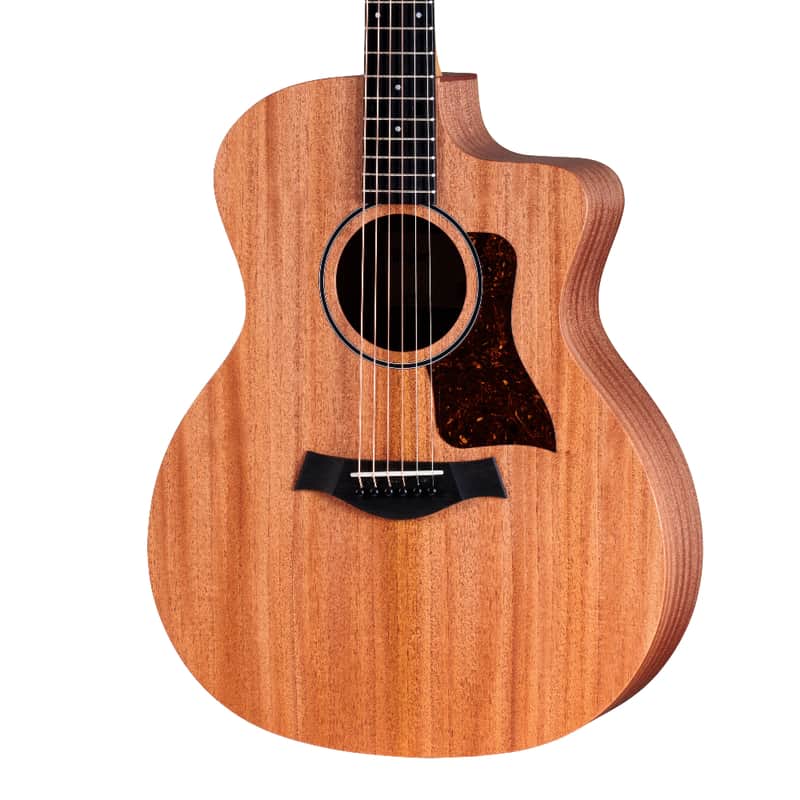 Taylor 24ce image 2