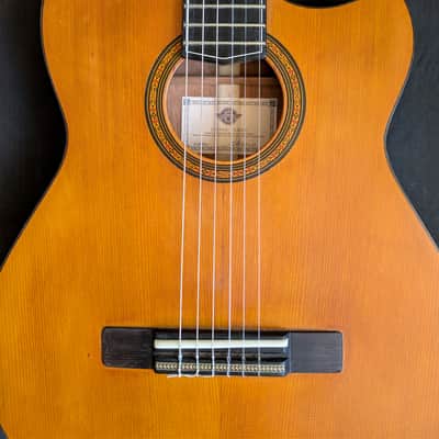 Sonicguitars CLASSIC PLAYER 2026 - Shellac image 6