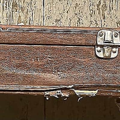 Hagstrom Hardshell case 70s image 7