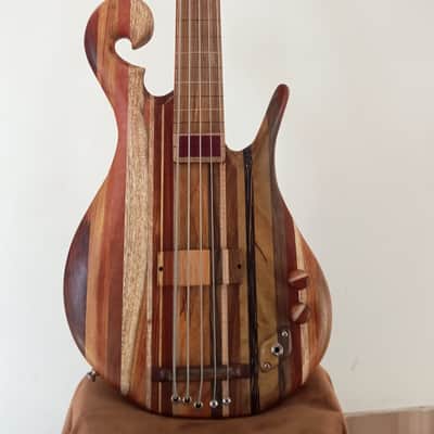 Thompson tribute Bassovarius #2 "Full Rainbow"5 strings bass image 4