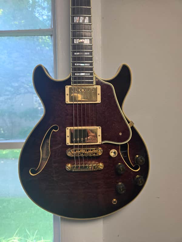 Ibanez AM200 image 1