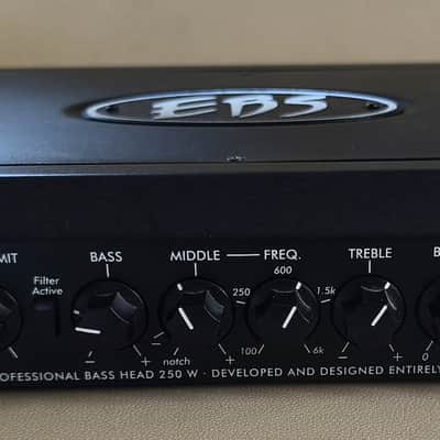 EBS Reidmar 250-Watt Lightweight Bass Head (not ampeg, aquilar) image 2
