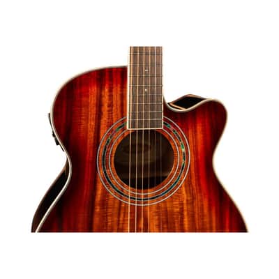 Washburn EA55G Festival Acoustic-Electric Guitar (Koa Burst) *USA Small Business* image 3