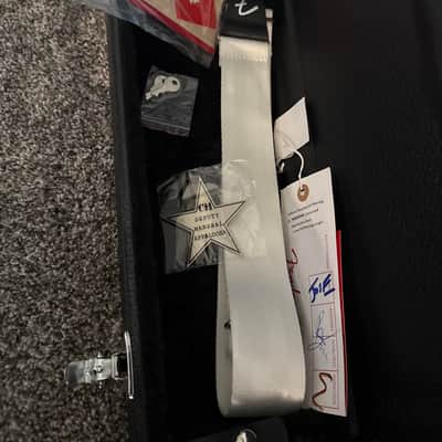 Chrissie Hynde Signature Fender Telecaster 2021 - Present - Faded Ice Blue Metallic Road Worn image 7