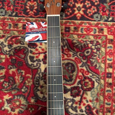 Tanglewood DBT-SFCE-BW Discovery Open Pore Super Folk with Electronics 2010 - 2015 - Black Walnut image 4