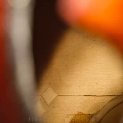 1955 MOECK TENOR VIOLA DA GAMBA VIOL GAMBE FIEDEL image 22