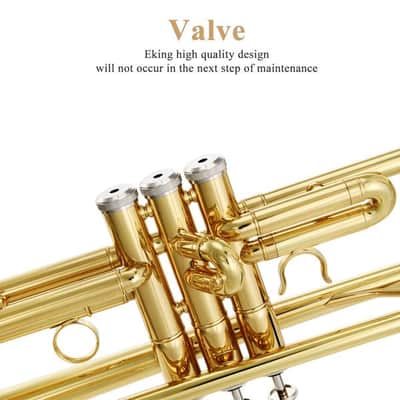 Standard Student Trumpet Brass Gold Bb Trumpet image 6