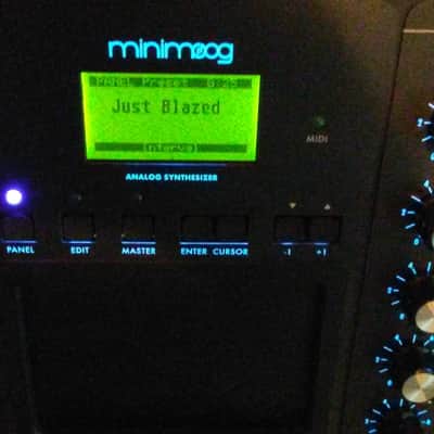 Moog MiniMoog Voyager Aluminum Edition 2015 Aluminum SERIAL #13! image 7