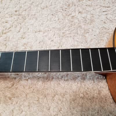 Aria Flamenco AC-150F (Spain) image 18