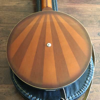 Eko Banjo Guitar Banjitar Made In Italy image 3
