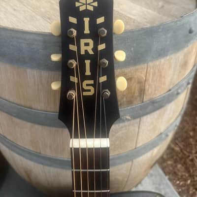 Iris  DF 2022 -Brazilian Rosewood - Iced Tea Burst image 6