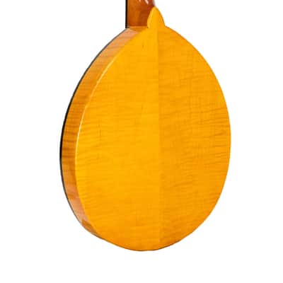 Gold Tone GM-10 Frypan Mandolin image 9