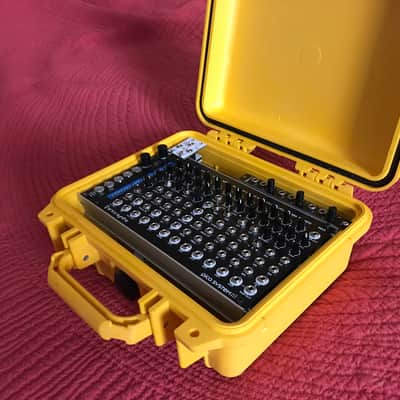 Portable suitcase modular synth : Erica Synths Pico System III + Disting + Sloth image 1