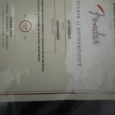 Fender Eric Clapton Stratocaster Gilmour EMG Pewter image 5