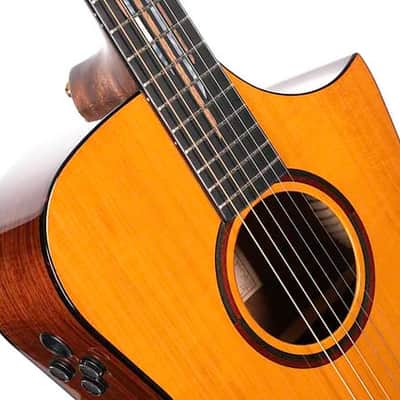 Cort Frank Gambale Signature LUXE II Acoustic-Electric w/Case, Video Demo, Fishman Flex Blend System image 16
