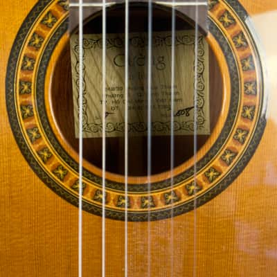 Cuong Classical Guitar 2002 w Barbera Pickup image 3
