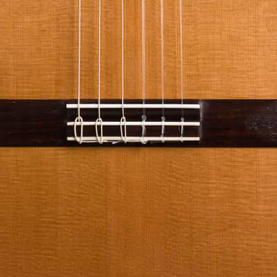 Ross Gutmeier Classical Guitar (2004), black rigid foam case. image 17