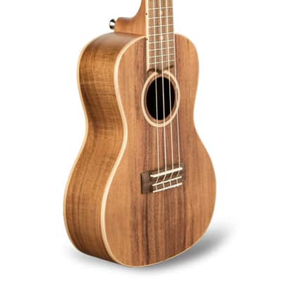 LANIKAI ACST-C - Acacia Solid Top Concert/DLX padded gigbag image 1