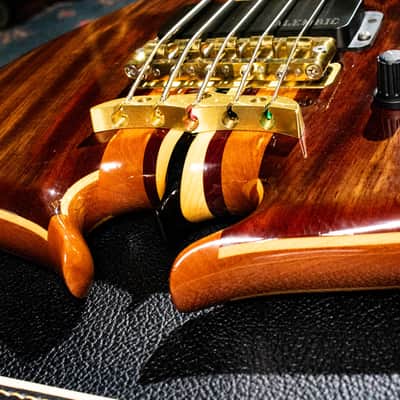 ALEMBIC MJLB5F Signature Standard 2010 image 9
