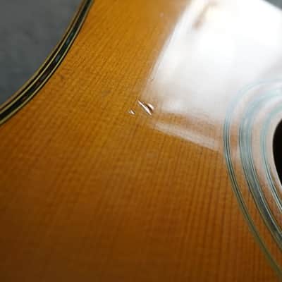 Morris W-35 Special Japan Acoustic Guitar image 19