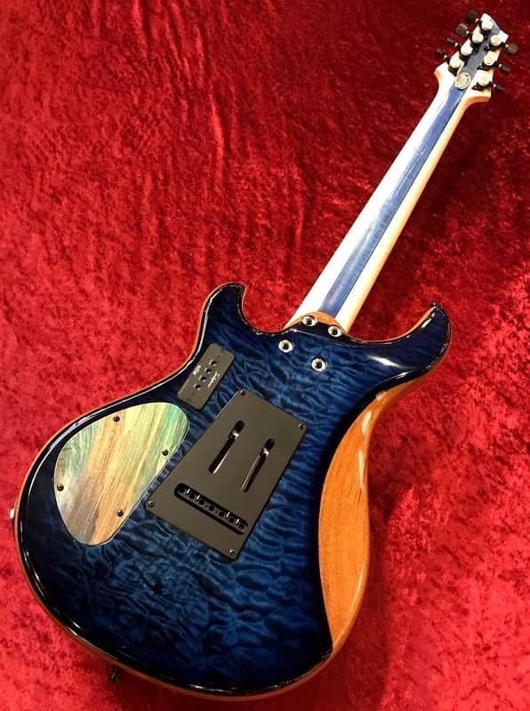 Altero Custom Guitars Vuoto diverso Sette 7st 【MADE IN JAPAN