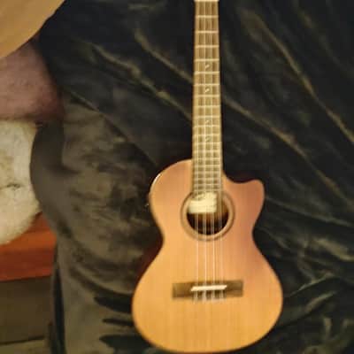 Kala KA-ATP-CTG-CE Solid Acacia Series Tenor Ukulele with Cedar Top, Cutaway, and EQ 2010s - Gloss Natural image 1
